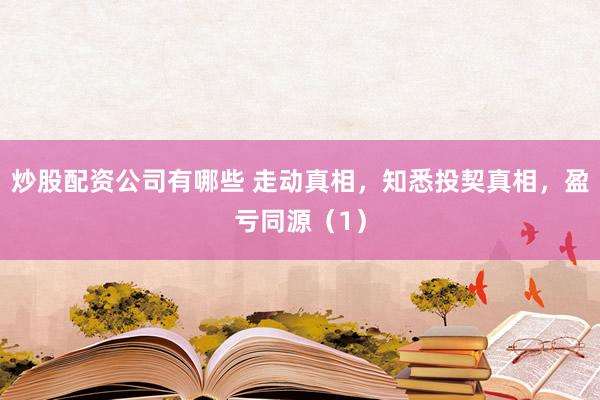 炒股配资公司有哪些 走动真相，知悉投契真相，盈亏同源（1）