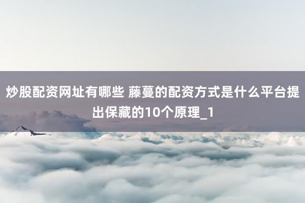 炒股配资网址有哪些 藤蔓的配资方式是什么平台提出保藏的10个原理_1